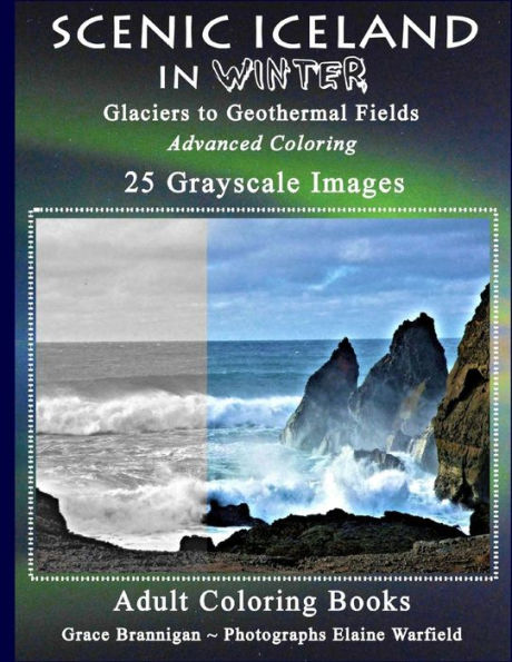 Scenic Iceland in Winter: Glaciers to Geothermal Fields: Advanced Coloring 25 Grayscale Images