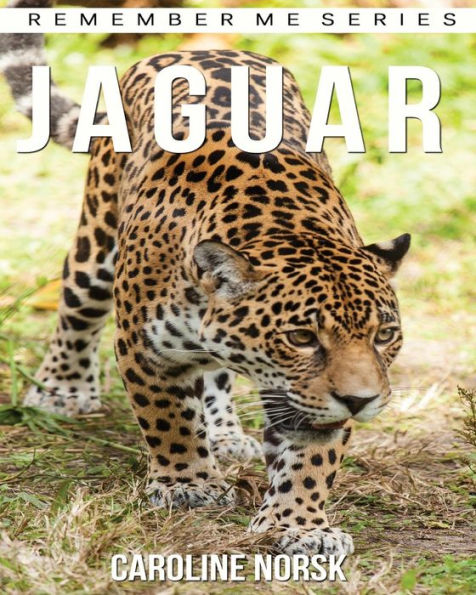 Jaguar: Amazing Photos & Fun Facts Book About Jaguar For Kids