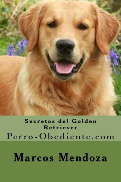 Secretos del Golden Retriever: Perro-Obediente.com