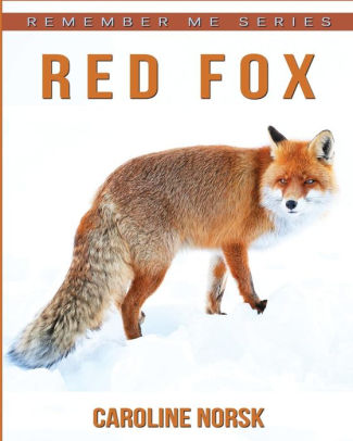 Fox - Amazing Facts about Fox | Kids Picture Book