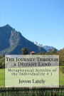 The Journey Through a Distant Land: Metaphysical Articles of the Individuality # 1