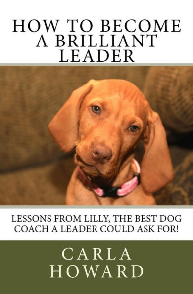 How to Become a Brilliant Leader: Leadership Lessons from Lilly, The best dog coach a leader could ask for!