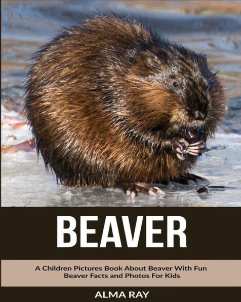 Beaver: A Children Pictures Book About Beaver With Fun Beaver Facts and Photos For Kids