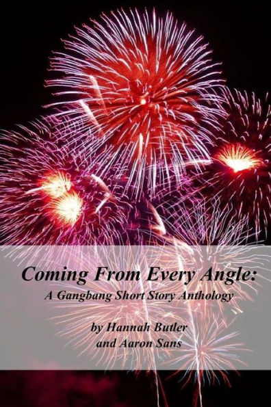 Coming From Every Angle: A Gangbang Short Story Anthology
