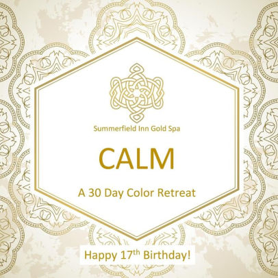 Happy 17th Birthday Calm A 30 Day Color Retreat 17th Birthday Gifts For Her In Al