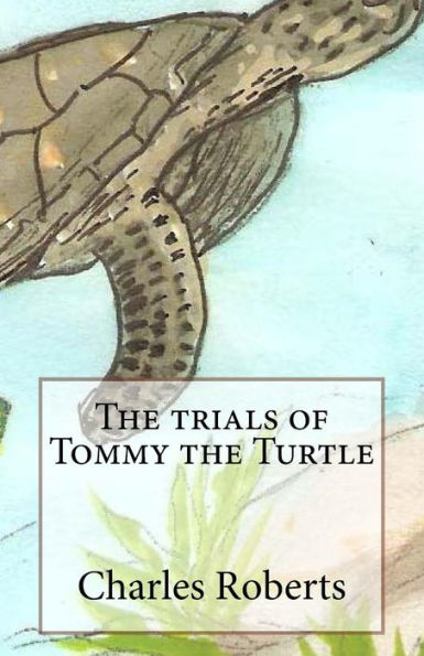 The trials of Tommy the Turtle