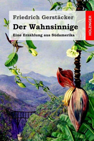 Der Wahnsinnige: Eine Erzï¿½hlung aus Sï¿½damerika