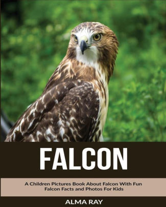 Falcon: A Children Pictures Book About Falcon With Fun Falcon Facts And ...