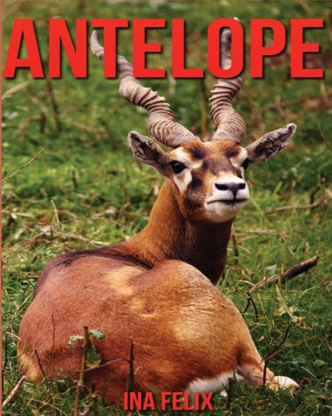 Antelope: Children Book of Fun Facts & Amazing Photos on Animals in Nature - A Wonderful Antelope Book for Kids aged 3-7