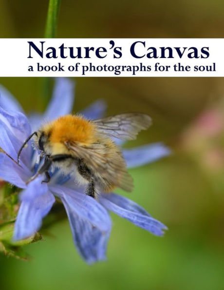 Nature's Canvas, a book of photographs for the soul: a coffee table book of photographs of nature, relaxing images to enjoy and share
