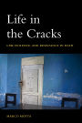 Life in the Cracks: Law, Violence, and Resistance in Haiti
