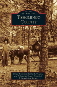 Title: Tishomingo County, Author: Cindy W Nelson