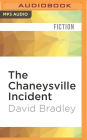 The Chaneysville Incident: A Novel