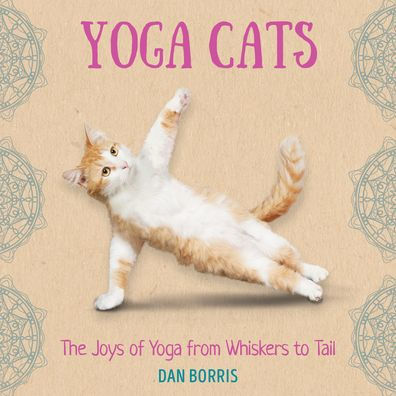 Yoga Cats