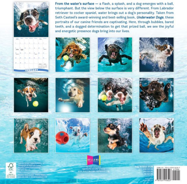 2023 Underwater Dogs Wall Calendar by Seth Casteel Barnes & Noble®