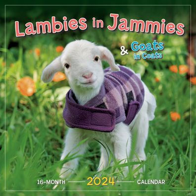 Lambies in Jammies & Goats in Coats