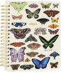2024 High Note ® Orders of the Animals Deluxe Hardcover 17-Month Planner