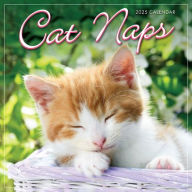 Title: 2025 Cat Naps Mini Calendar