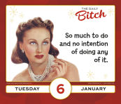 Alternative view 3 of 2026 Daily Bitch, The Boxed/Daily Calendar