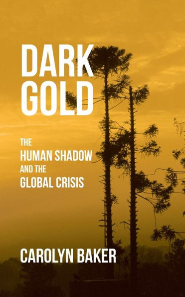 Dark Gold: the Human Shadow and Global Crisis