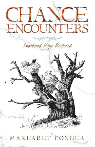 Chance Encounters: Shattered Hope Restored