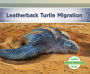 Leatherback Turtle Migration