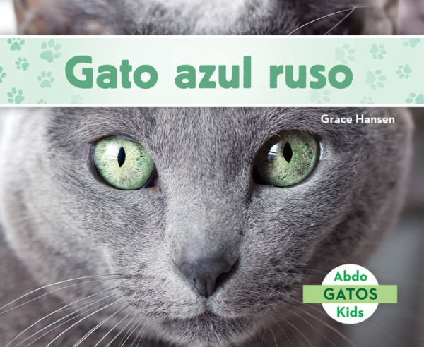 Gato azul ruso (Russian Blue Cats) (Spanish Version)