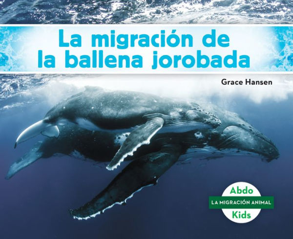 la migración de ballena jorobada (Humpback Whale Migration) (Spanish Version)