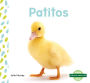 Patitos (Ducklings)