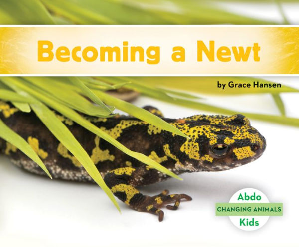 Becoming a Newt