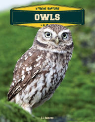 Title: Owls, Author: Sue L. Hamilton