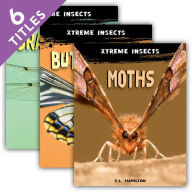 Title: Xtreme Insects Set 2, Author: Abdo Publishing