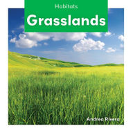 Title: Grasslands, Author: Andrea Rivera