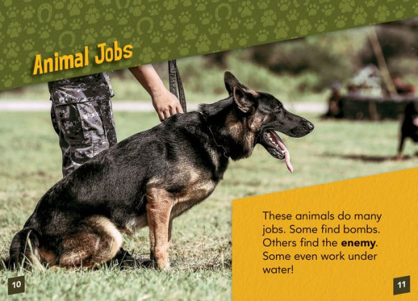 Military Animals