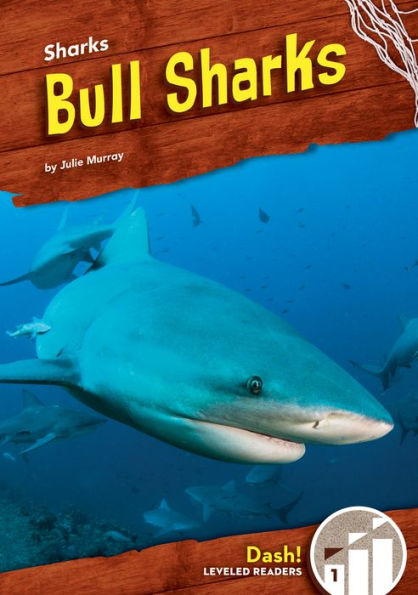 Bull Sharks