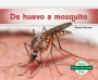 De huevo a mosquito (Becoming a Mosquito )