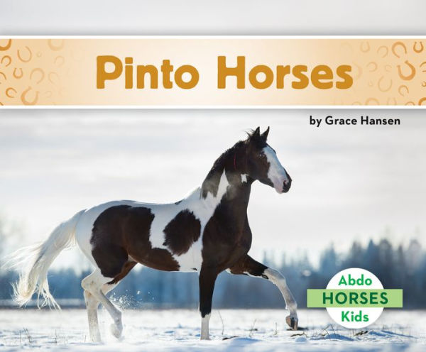 Pinto Horses