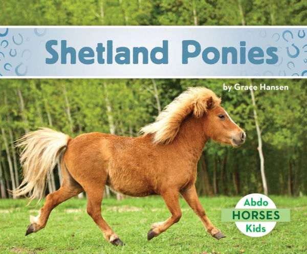 Shetland Ponies