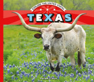 Title: Texas, Author: Sarah Tieck