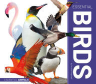 Title: Essential Birds, Author: Arnold Ringstad