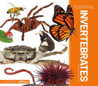 Title: Essential Invertebrates, Author: Alyssa Krekelberg