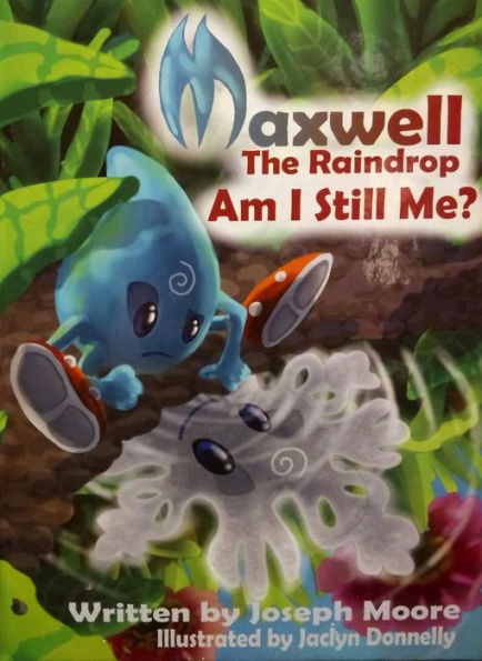 Maxwell the Raindrop: Am I Still Me?