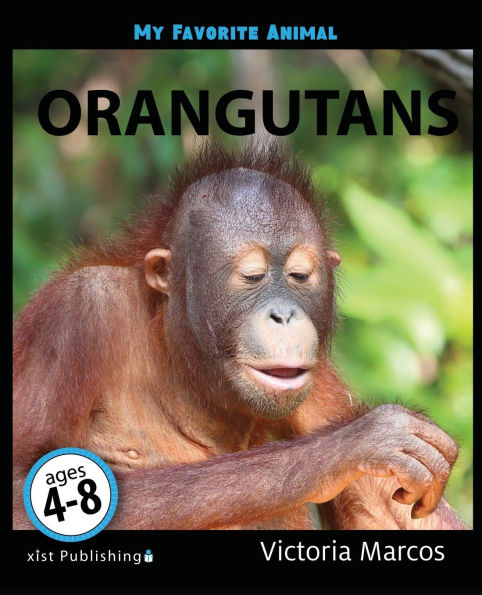 My Favorite Animal: Orangutans