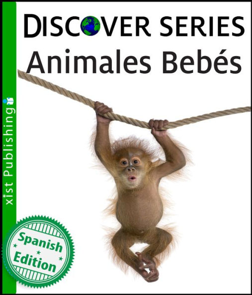 Animales Bebés