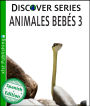 Animales Bebés 3