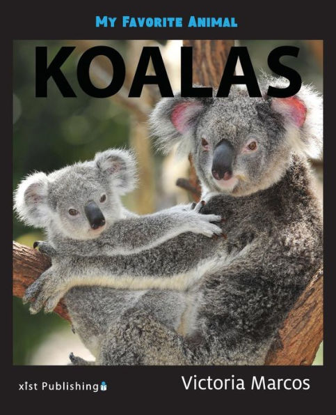 My Favorite Animal: Koalas