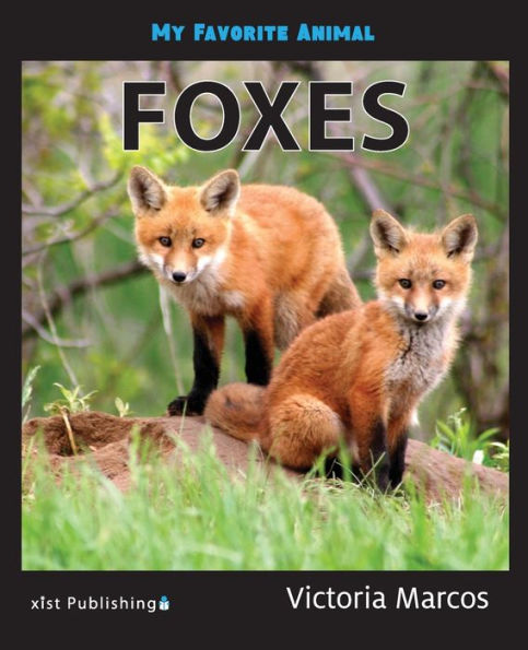 My Favorite Animal: Foxes