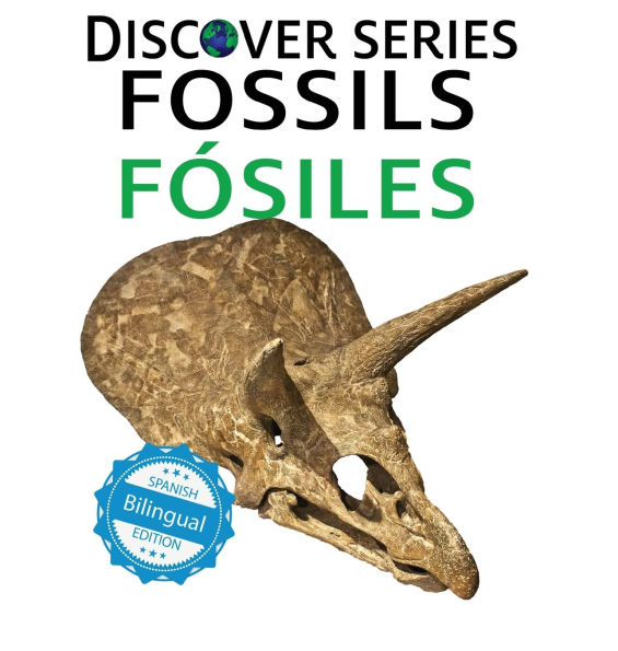 Fossils / Fï¿½siles