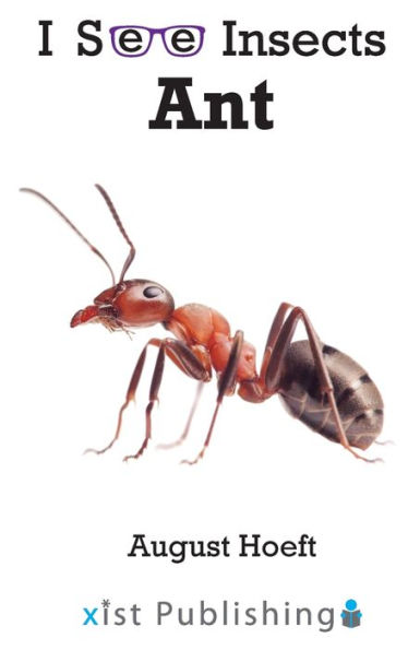 Ant