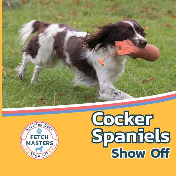 Cocker Spaniels Show Off